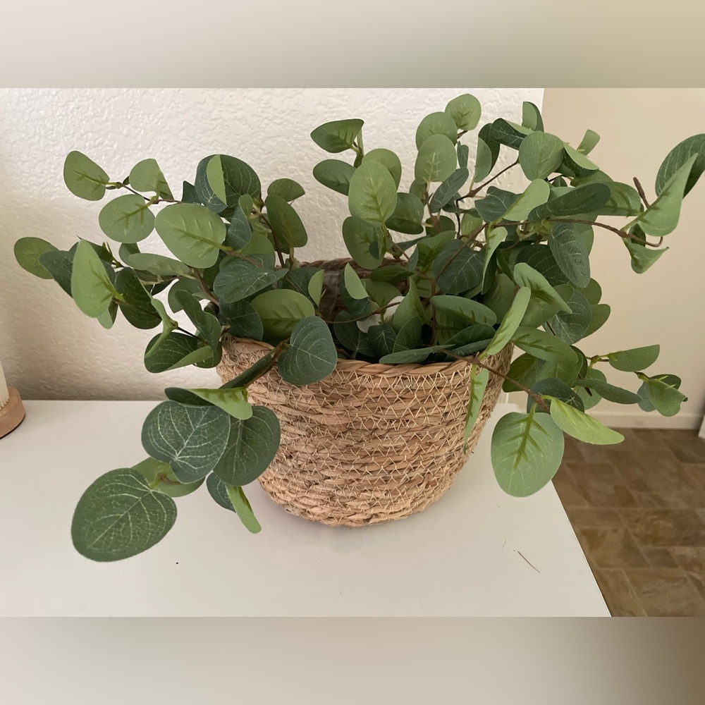 Woven Basket